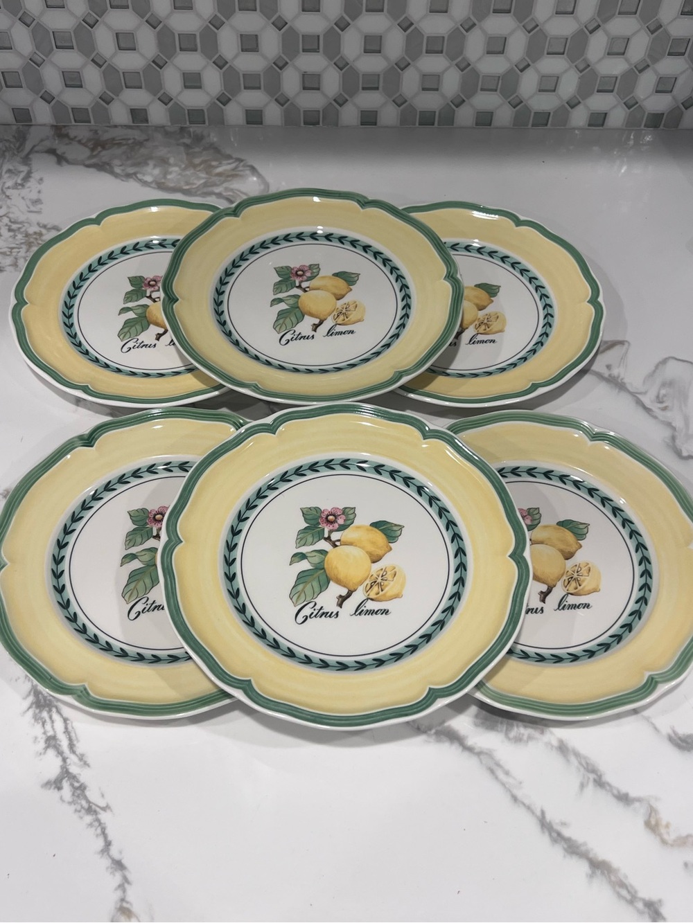 Villeroy & Boch "French Garden Valence" 8 1/8 Inch Salad Plate-Lemon Set of 6